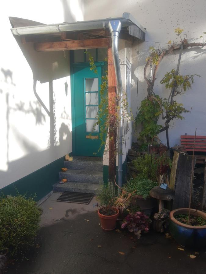Gartenzimmer Mit Strassenbahn Zu Dom Und Messe Colonia Exterior foto